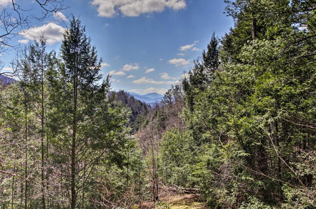 Quiet Cabin With Mountain Views About 3 Mi To 蓋特林堡 外观 照片